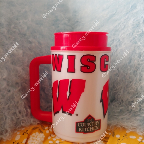 Vintage y2k Wisconsin Badgers Tumblr Travel Mug